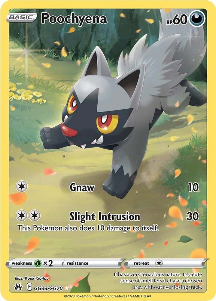 Poochyena — Crown Zenith: Galarian Gallery